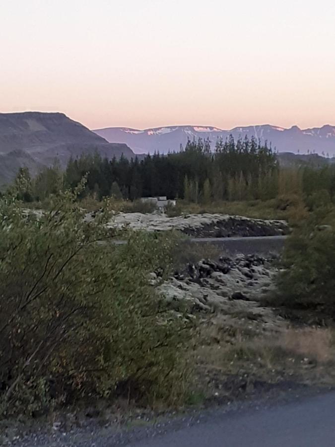 Bifroest Bifrost Kültér fotó